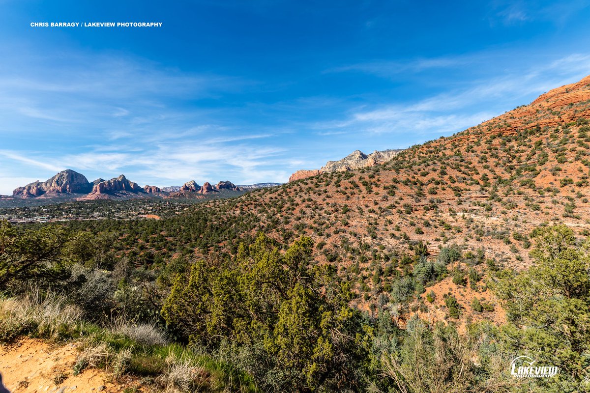 Lakeview Photography tweet media