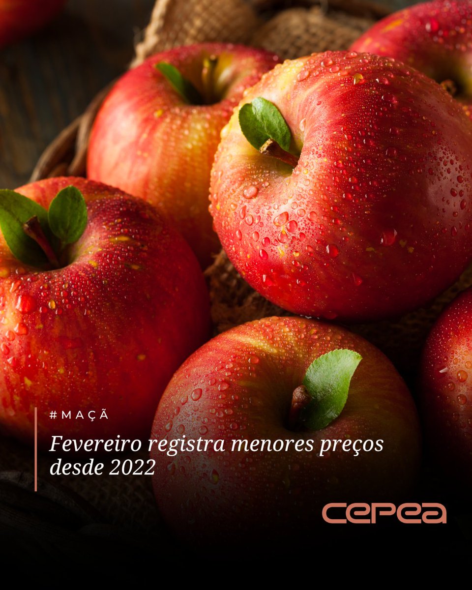 CepeaEsalq's tweet image. #MAÇÃ – Na última semana de fevereiro (entre 23 e 27), o preço da maçã seguiu em queda, embora em ritmo menos acelerado do que o registrado no restante do mês. Com as sucessivas retrações, fevereiro se encerra com os menores valores de comercialização dos últimos quatro anos.
