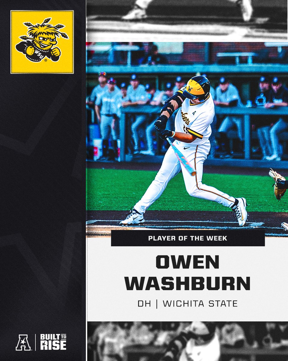 The American tweet media