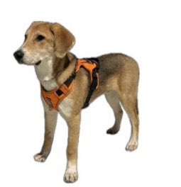 катя tweet media