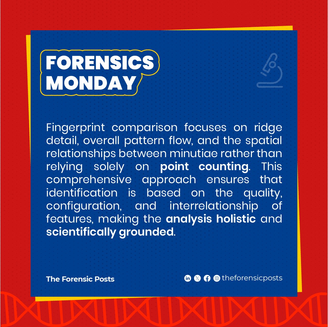 The Forensic Posts tweet media