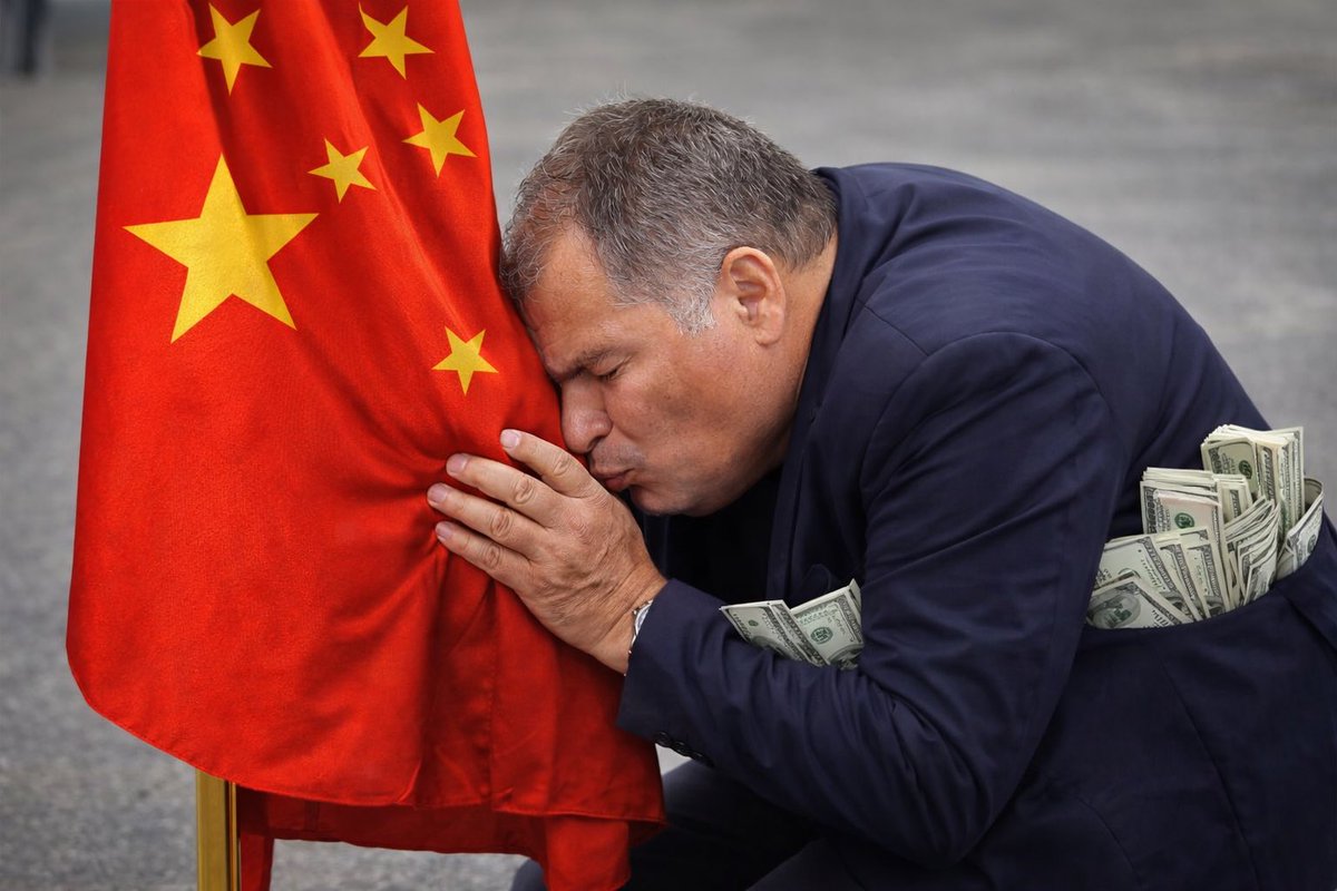 Pato Rosero. 🔥🇪🇨 tweet media