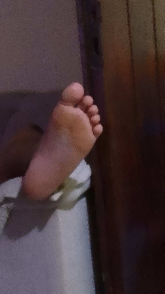 Pedro Findom 🛐 tweet media