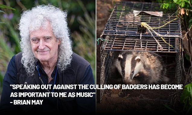 Protect the Wild tweet media