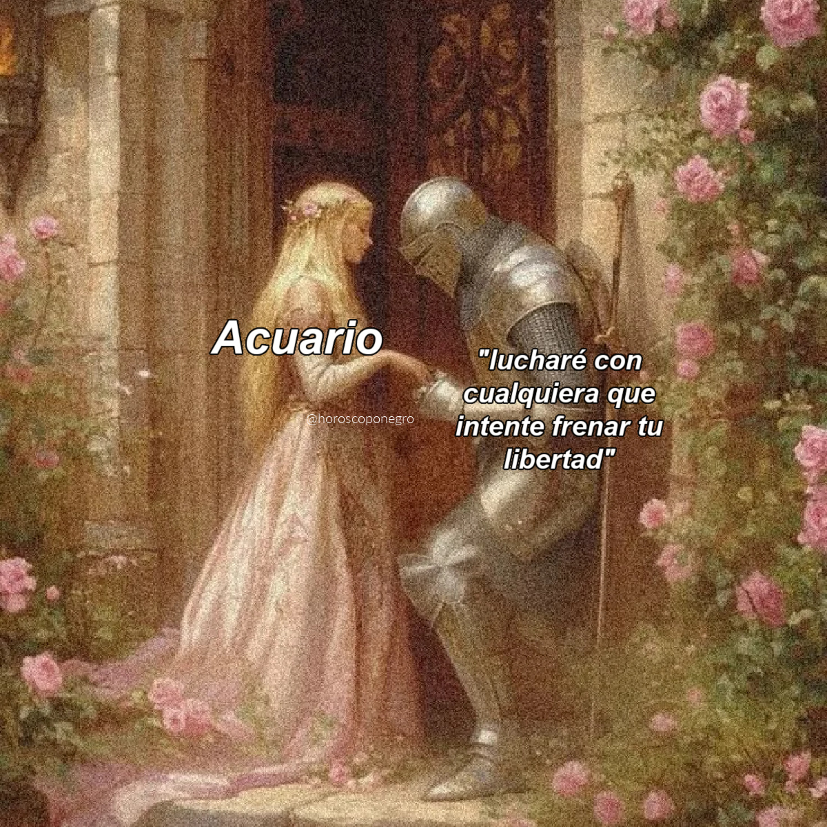 acuario_hn's tweet photo. Nuestro punto débil 🖤✨ https://t.co/vU6kCI9rKA