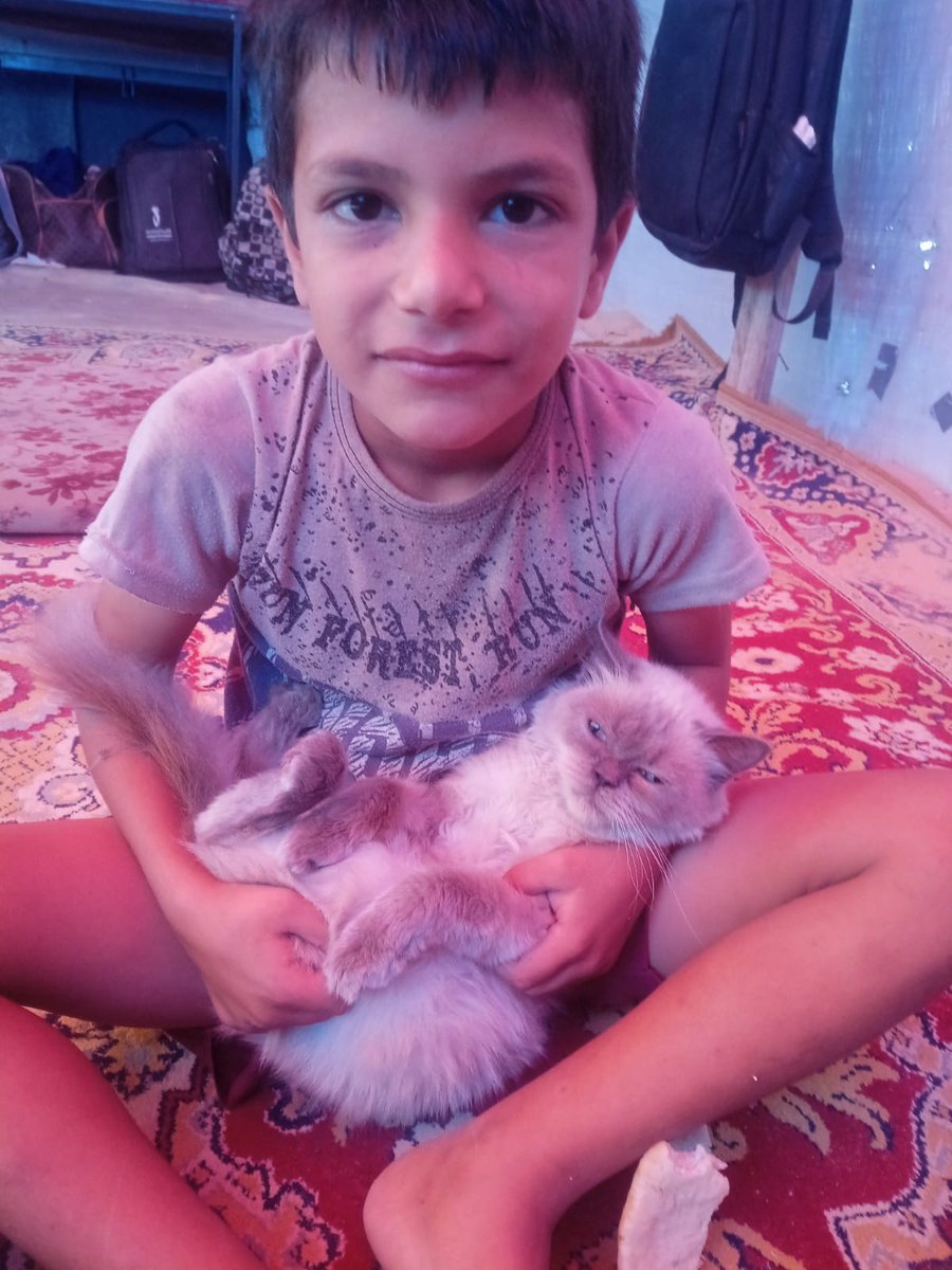 Mohammed in Gaza🇵🇸🤍 tweet media