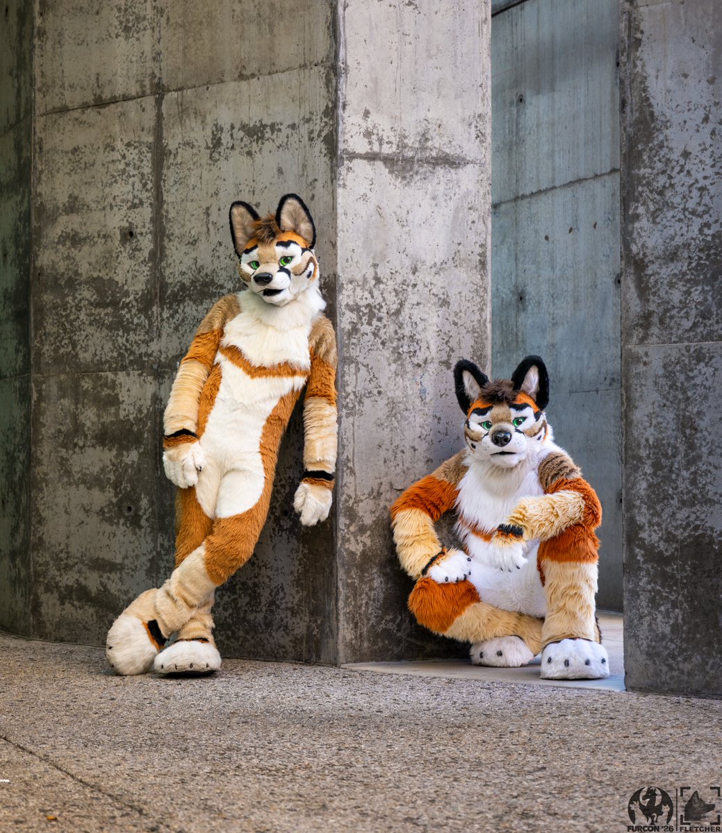 Fletcher tweet media