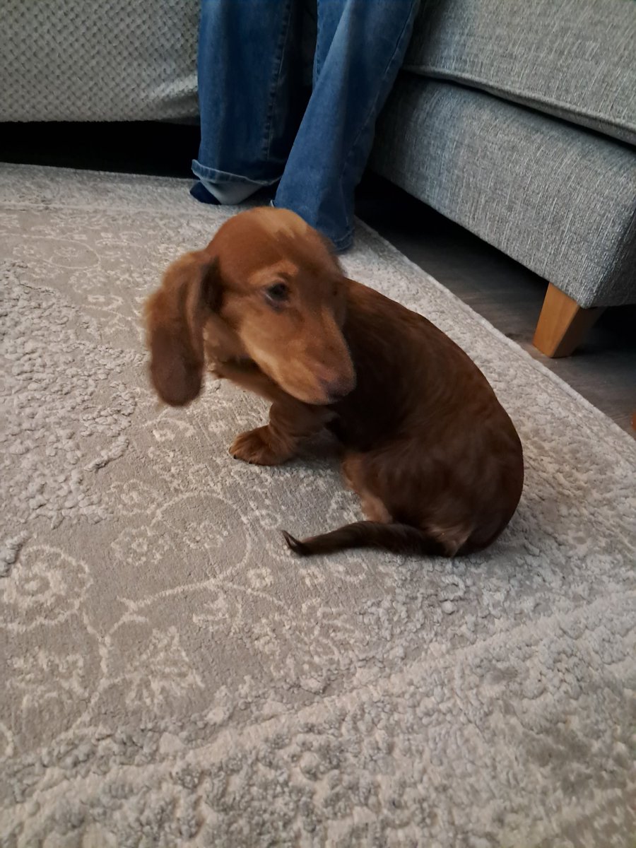 🥚AgentEgghead🥚 tweet media