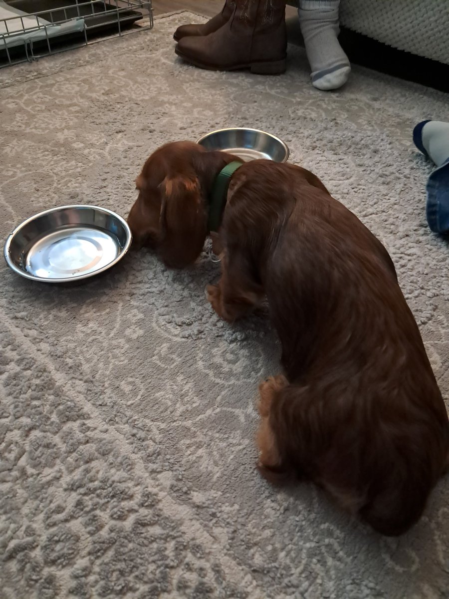 🥚AgentEgghead🥚 tweet media