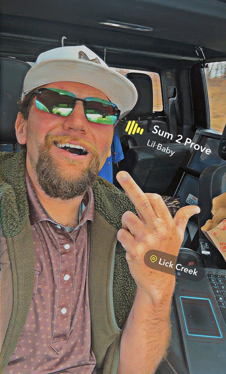 Wild Will tweet media