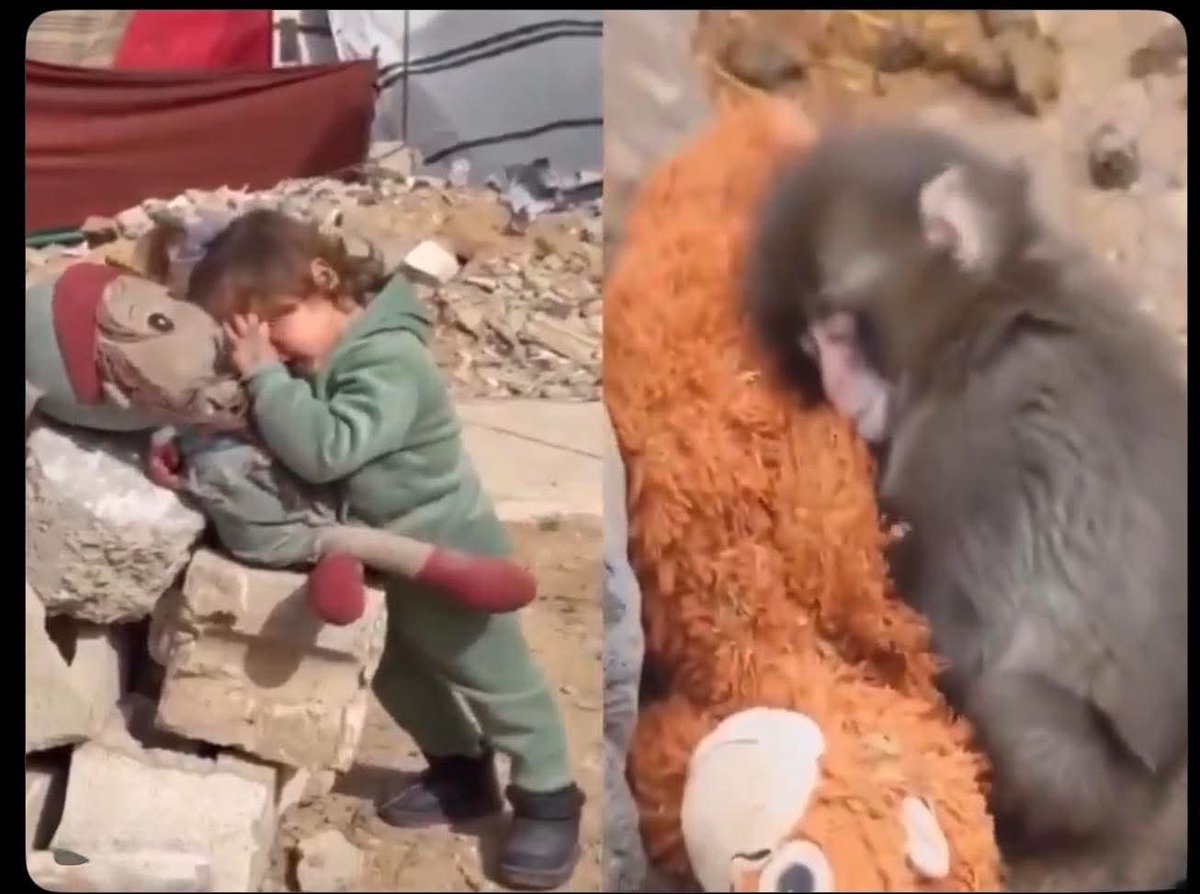 Hamza RadiaL OVEr tweet media