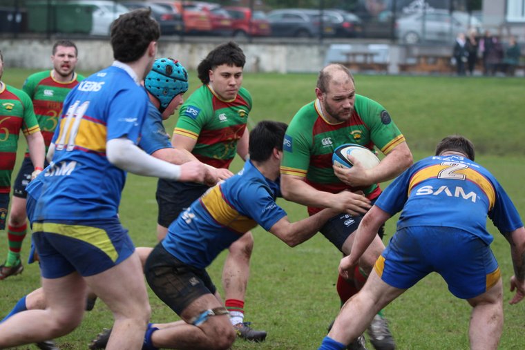 Donaghadee Rugby Club tweet media