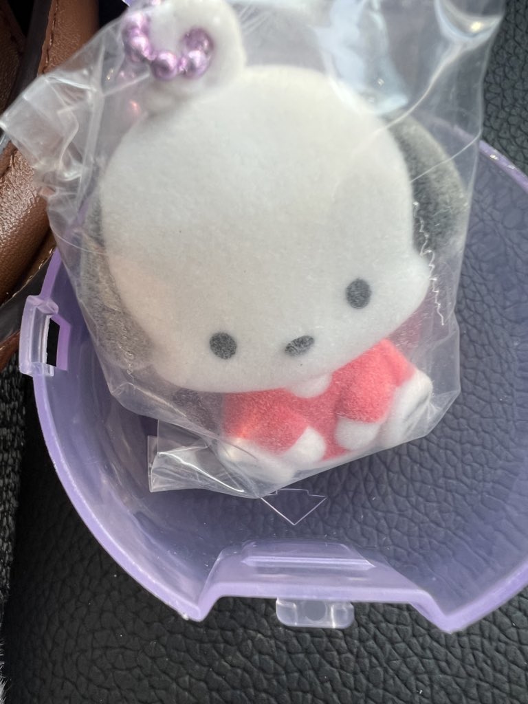 こぐま tweet media