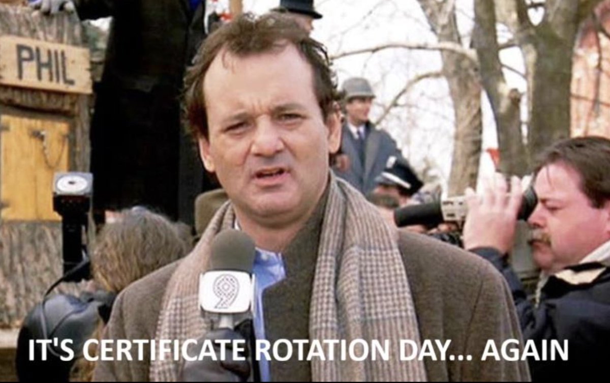 Biz Pollinator tweet media