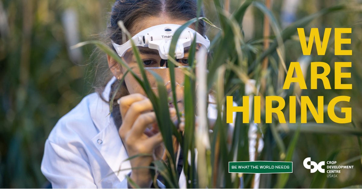 Crop Development Centre - USask tweet media