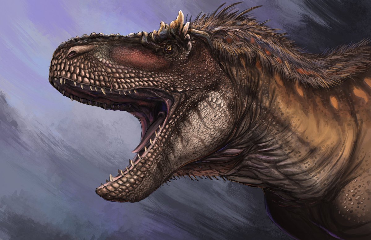 Draconos_Takeji tweet media