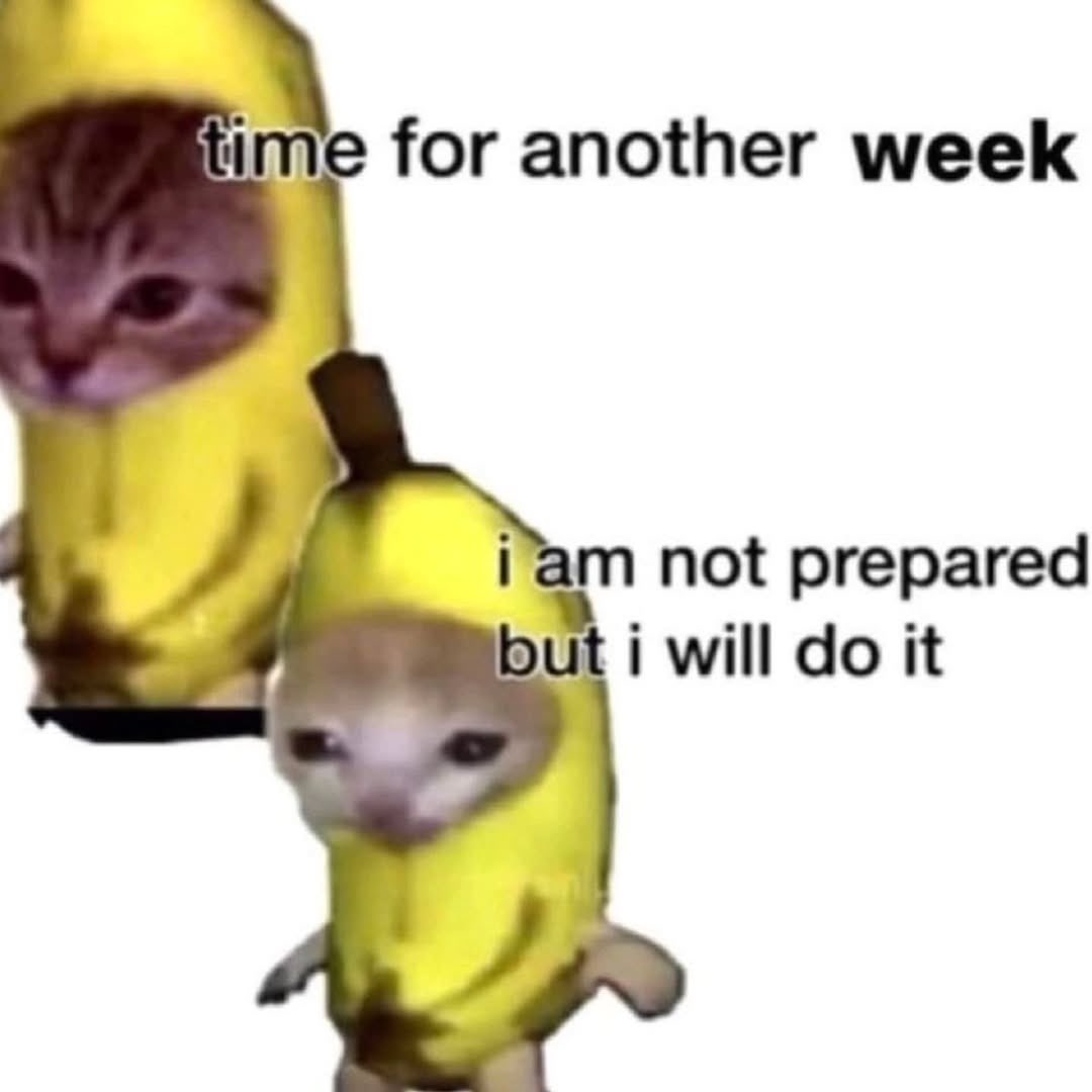 LiterallyMeCats (@literallymecats) on Twitter photo 