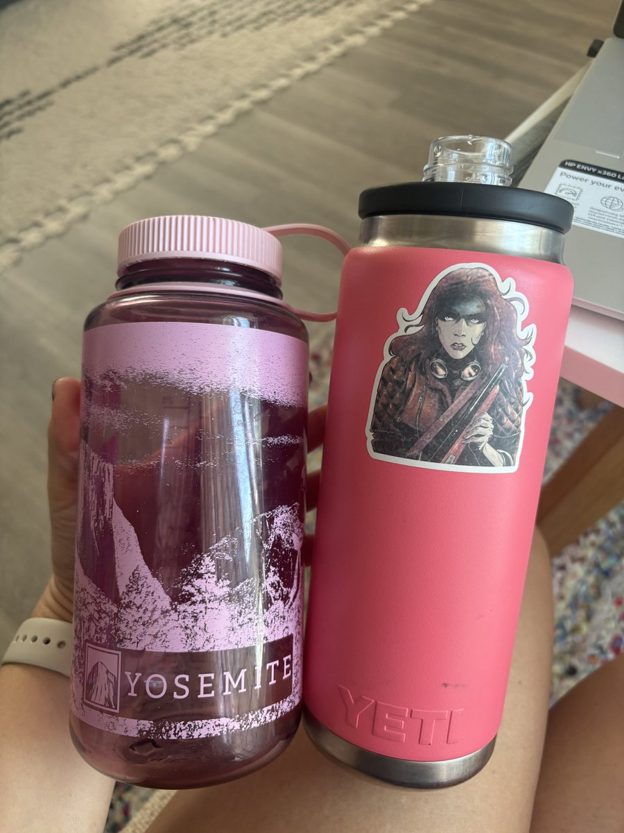 MsduMaurier's tweet image. Nalgene and Yeti currently. I have qualms about every water bottle I’ve ever had, but for the most part these are working.
