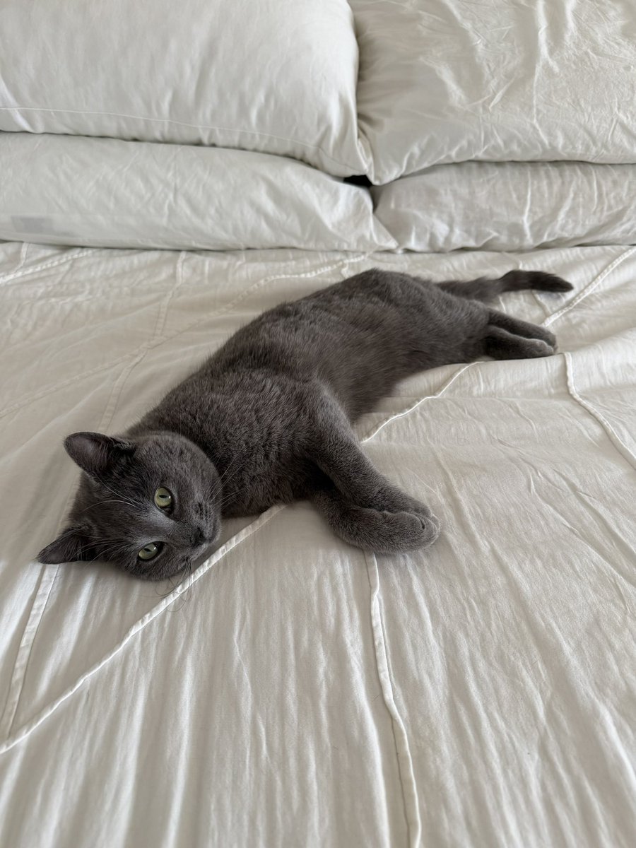 Ionatan Kuperwajs tweet media