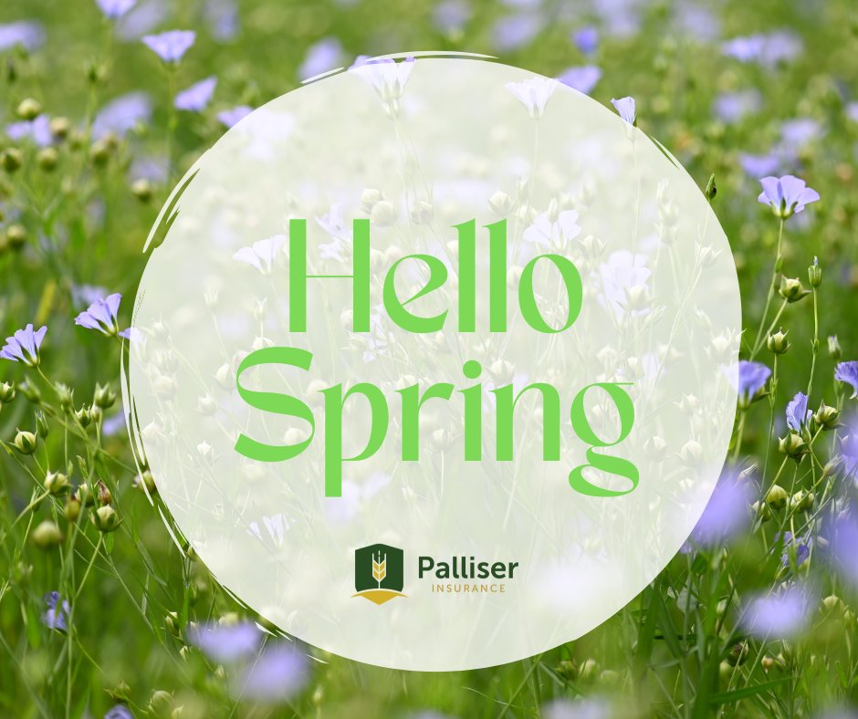 Palliser Insurance tweet media