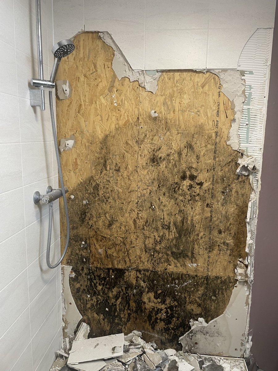 ChappersSays🏴󠁧󠁢󠁥󠁮󠁧󠁿 tweet media