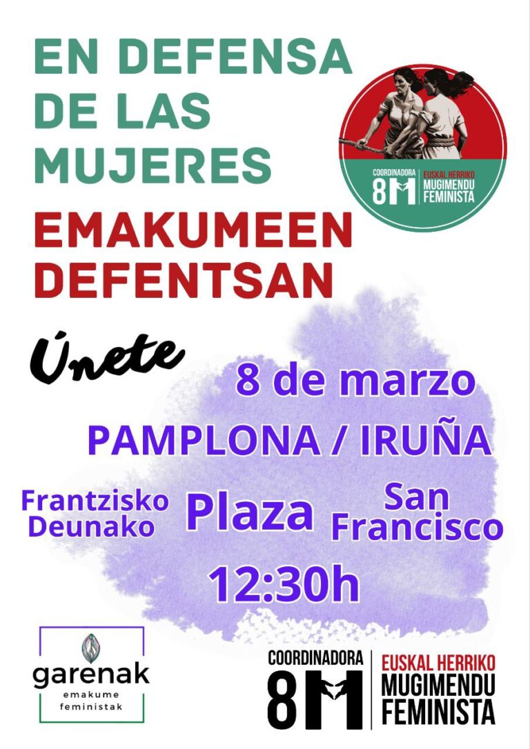 Partido Feministas Al Congreso tweet media