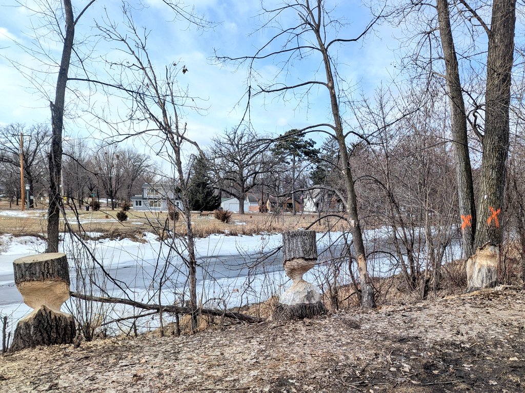 Vince Mpls tweet media