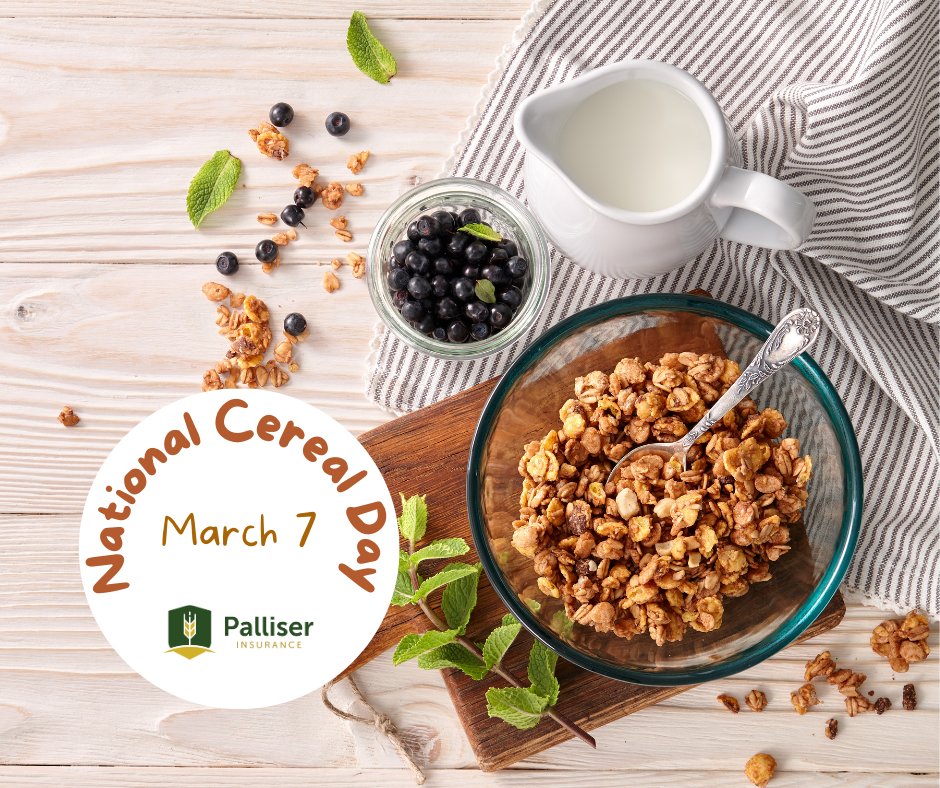 Palliser Insurance tweet media