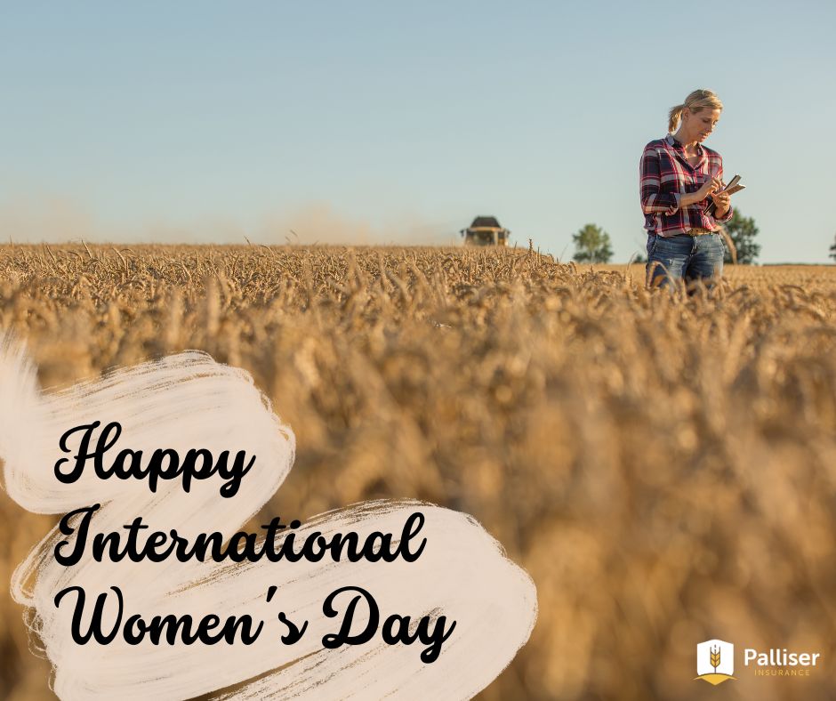 Palliser Insurance tweet media