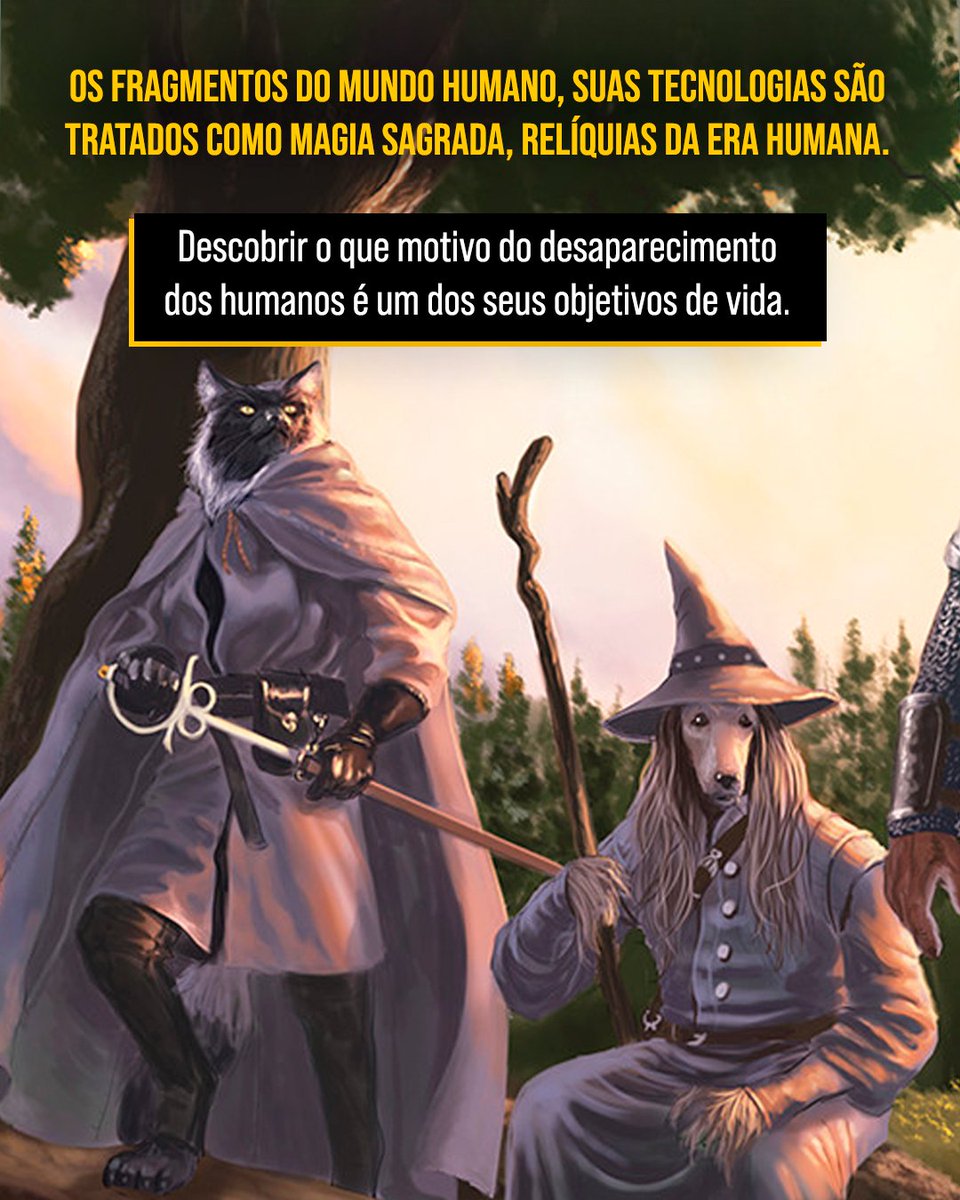 New Order Editora tweet media