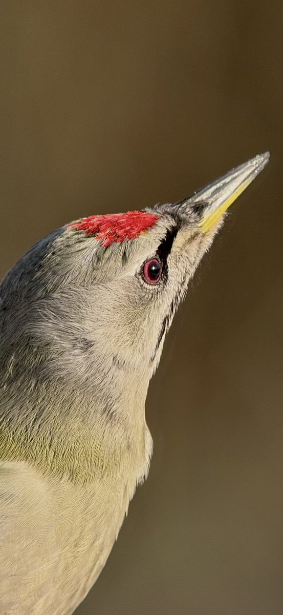 Paul Hackett tweet media