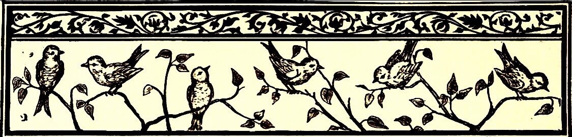 ََ (@invertedly) on Twitter photo 