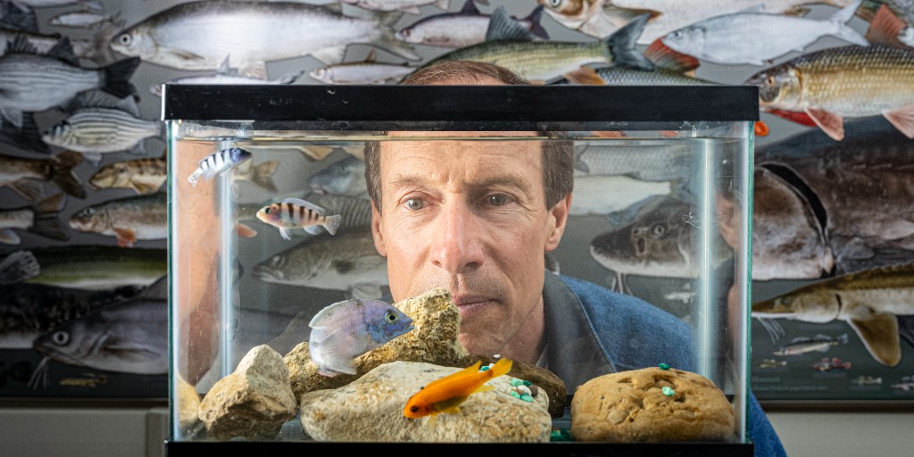 UW-Milwaukee tweet media