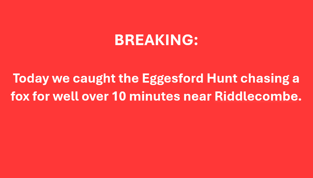 Devon County Hunt Sabs tweet media