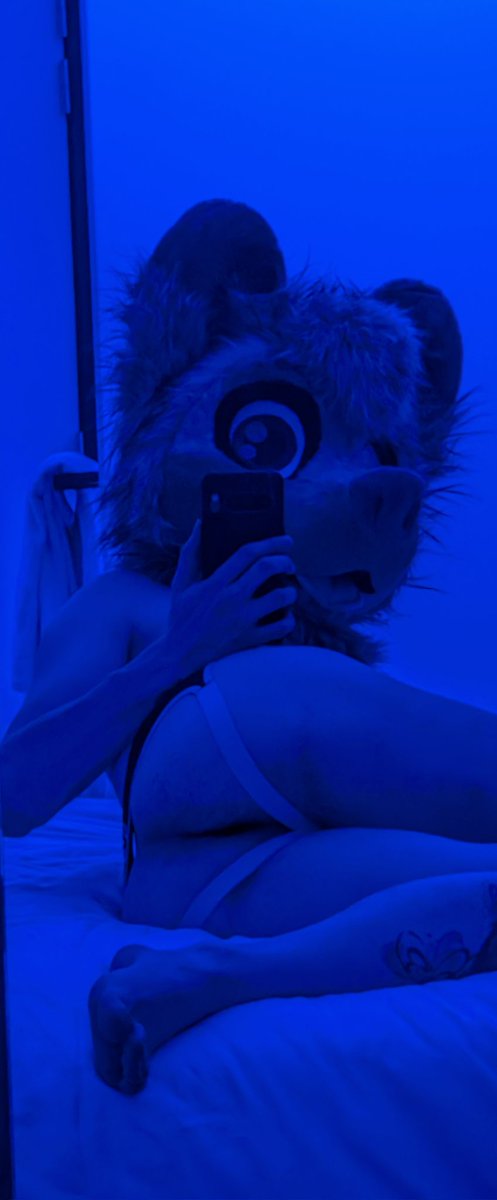 Shua 🔜 FurDU tweet media