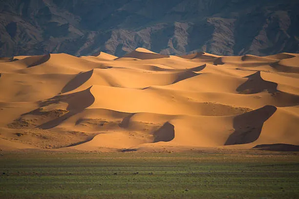 Pirat_Nation 🔴 tweet media