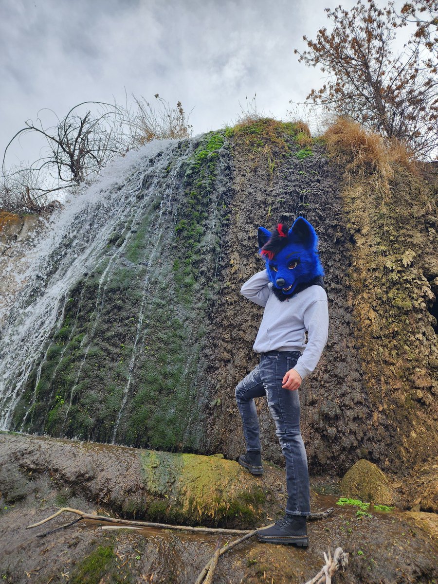 Schenker tweet media