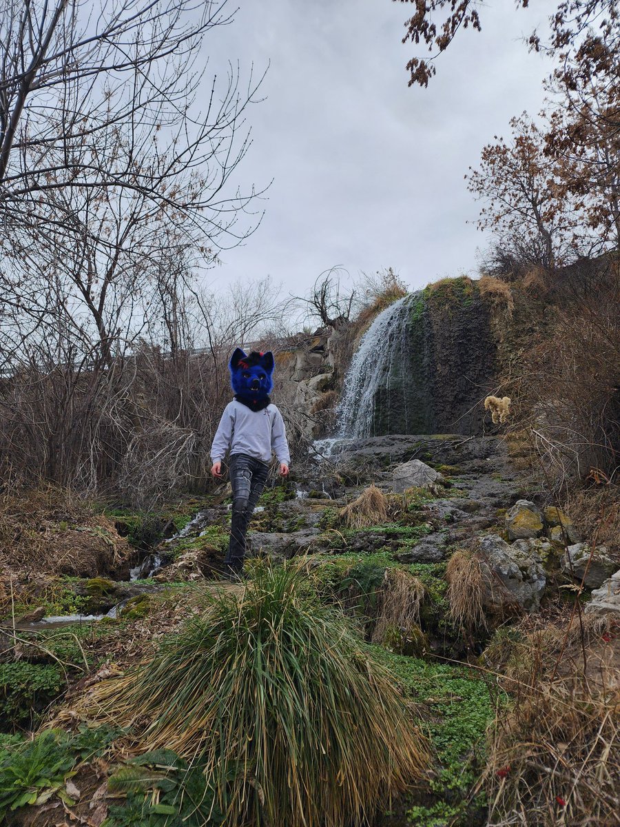 Schenker tweet media