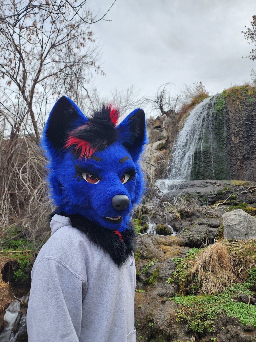 Schenker tweet media