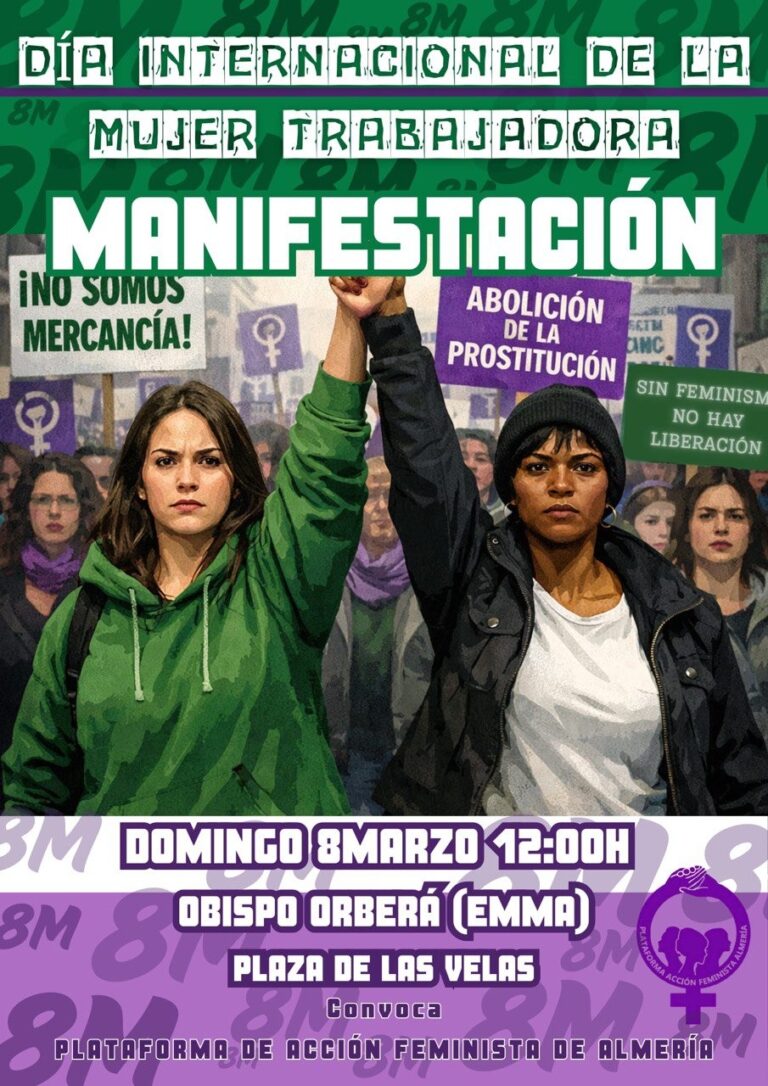 Partido Feministas Al Congreso tweet media