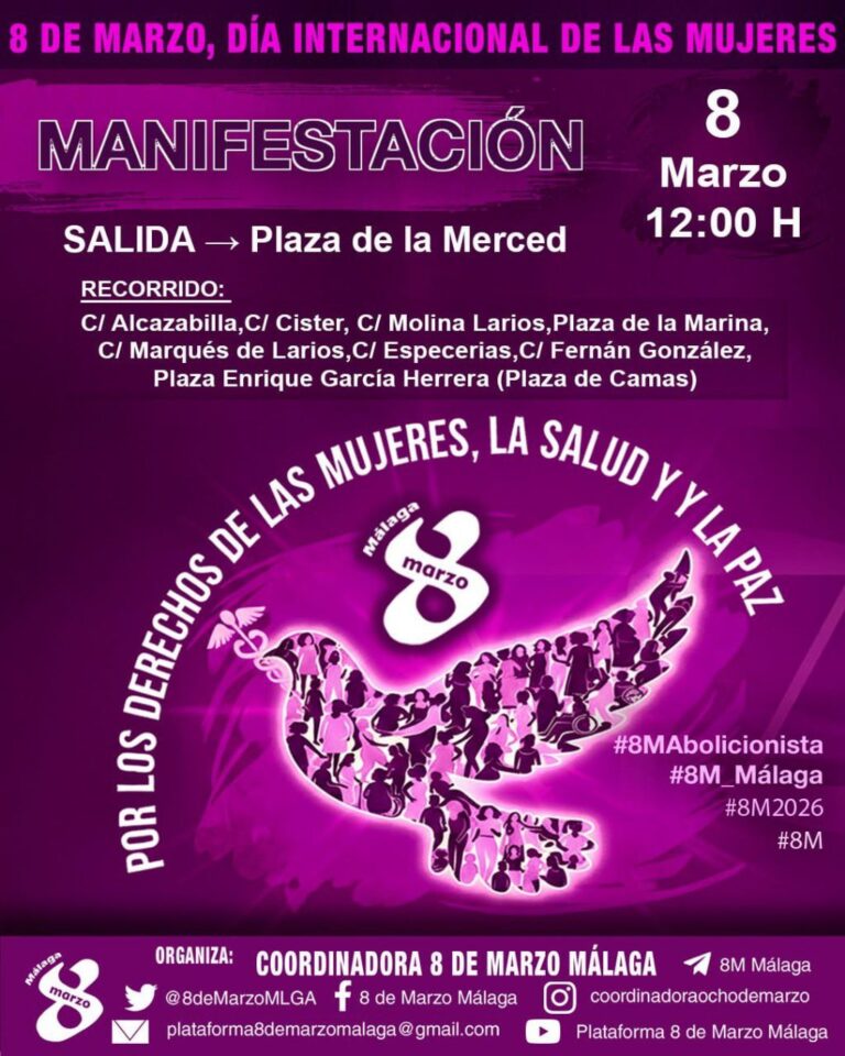Partido Feministas Al Congreso tweet media
