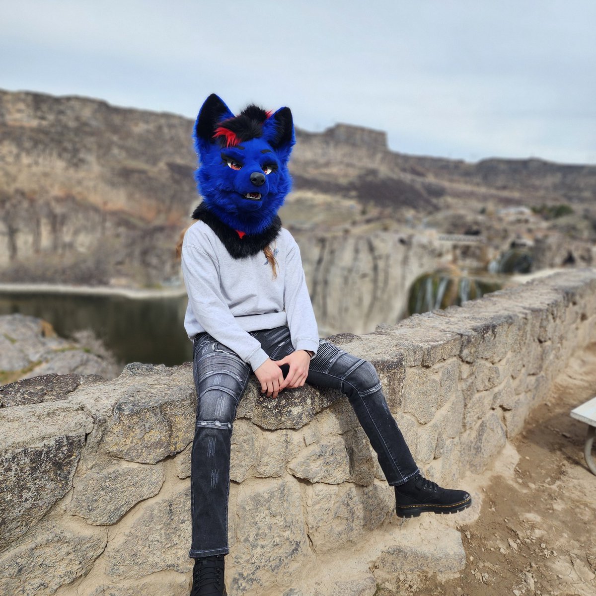 Schenker tweet media