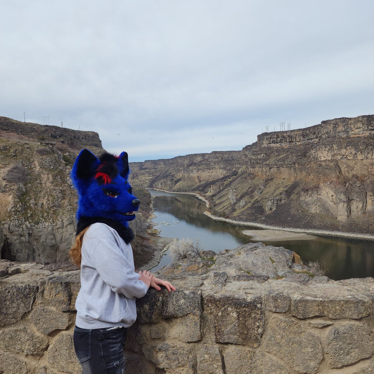 Schenker tweet media