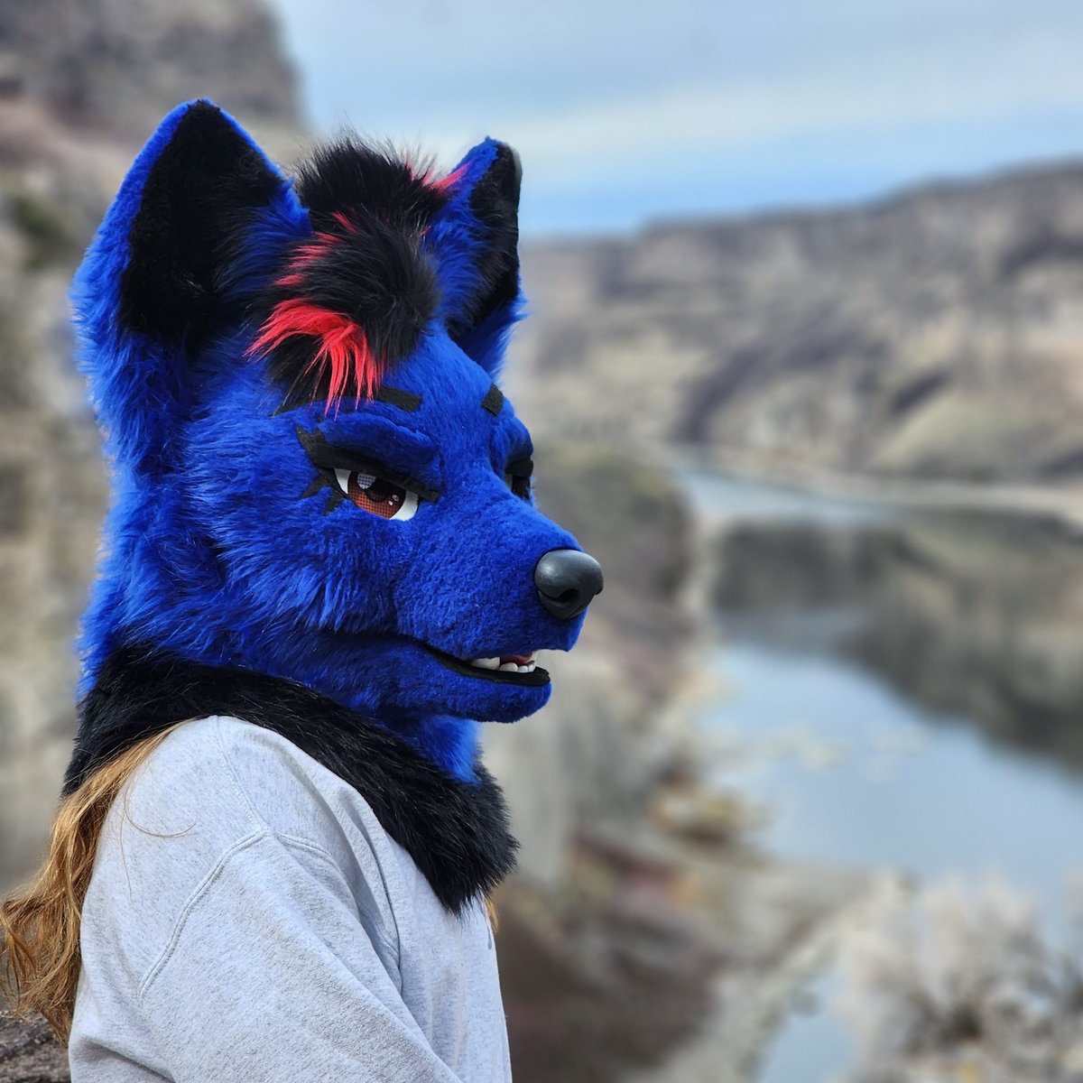 Schenker tweet media