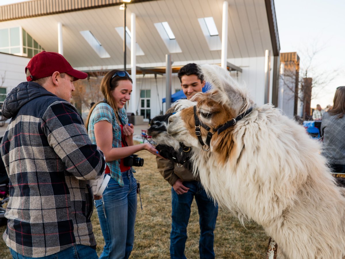 Aims Community College tweet media