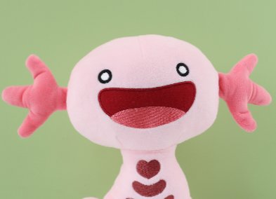 😺Rose⚢😺 tweet media