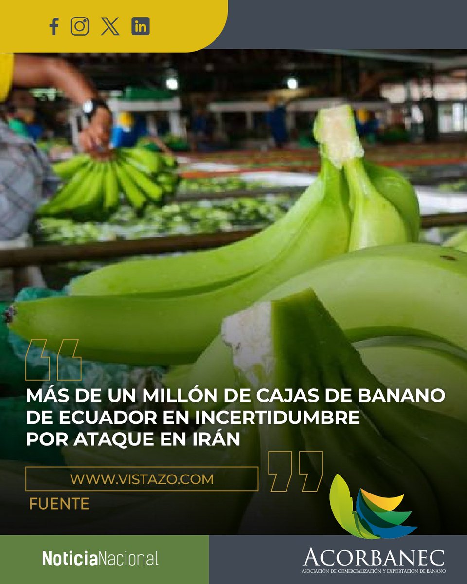 Acorbanec tweet media