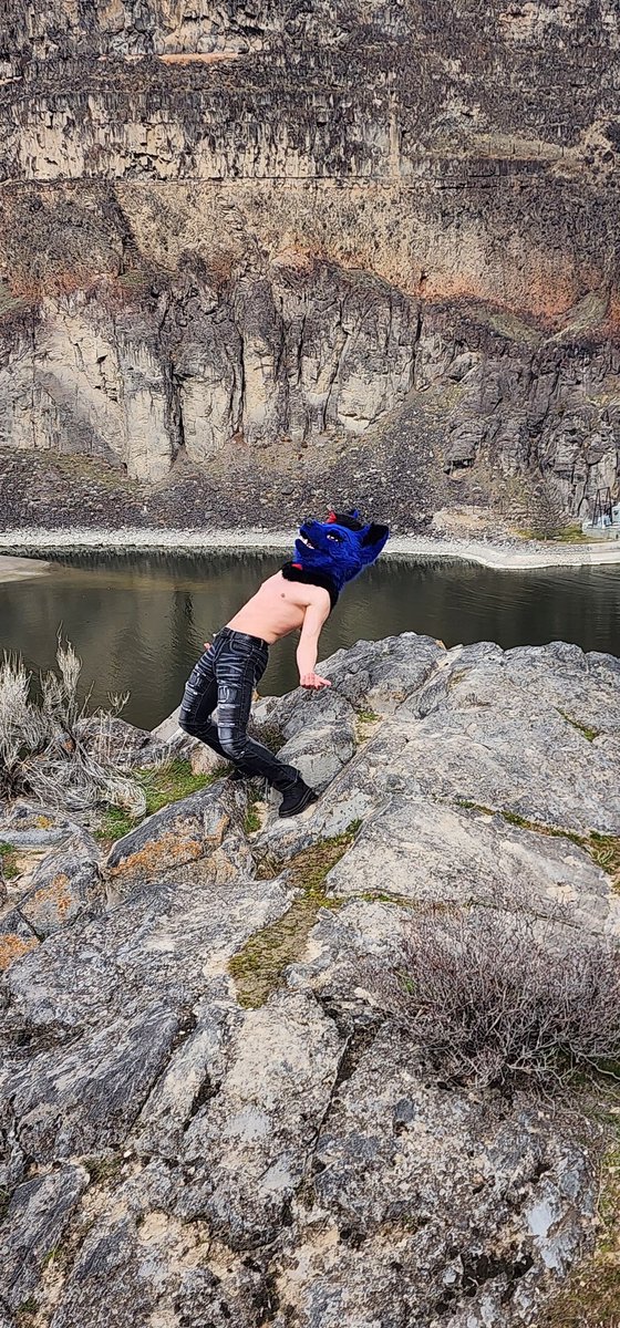 Schenker tweet media