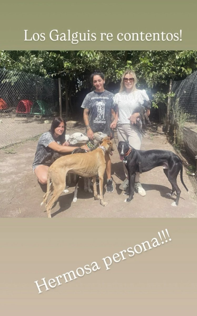 #chivilcoy 
Para los que no las conocen ella son nuestras amigas,  las genias de Amanda y Yamila de <a href="/MiradaDeGalgo/">Mirada De Galgo</a> , hacen milagros con los galguitos rotos en cuerpo y alma que rescatan.
Junto a ellas está <a href="/KarenReichardt1/">Karen Reichardt1</a> , una gran persona, que nos ha ayudado muchas veces con