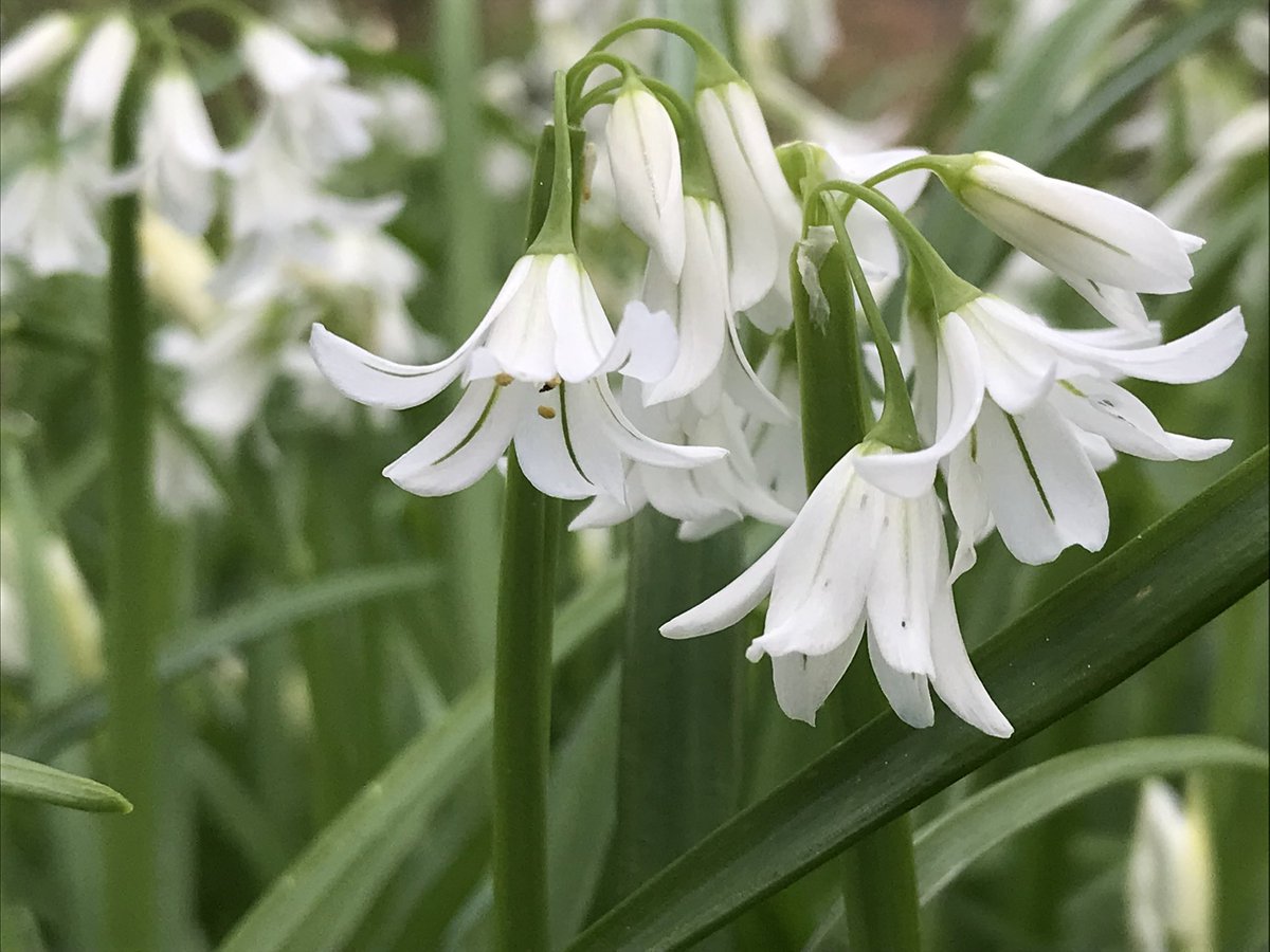 fat girl walking tweet media